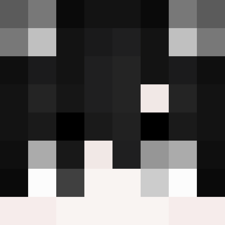 Invixit's skin