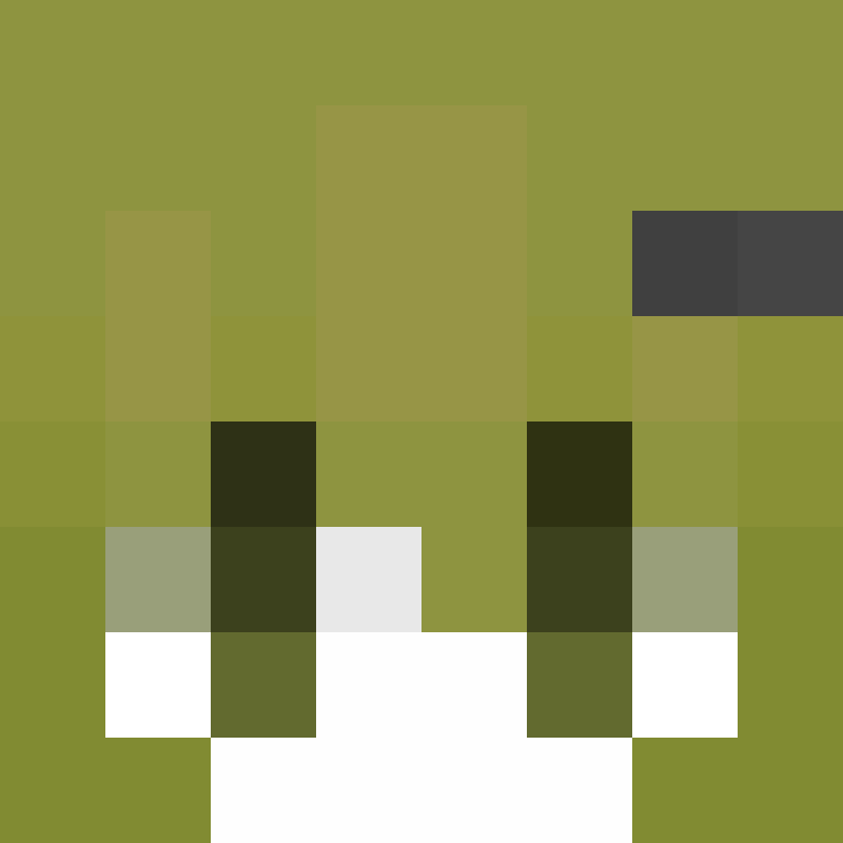 fakezhap's skin