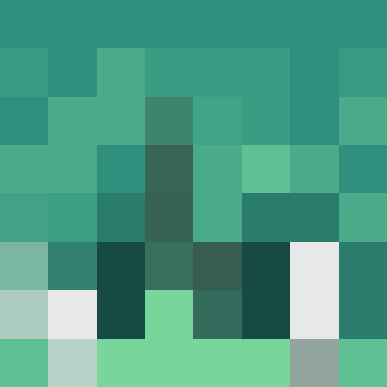 wyllism's skin