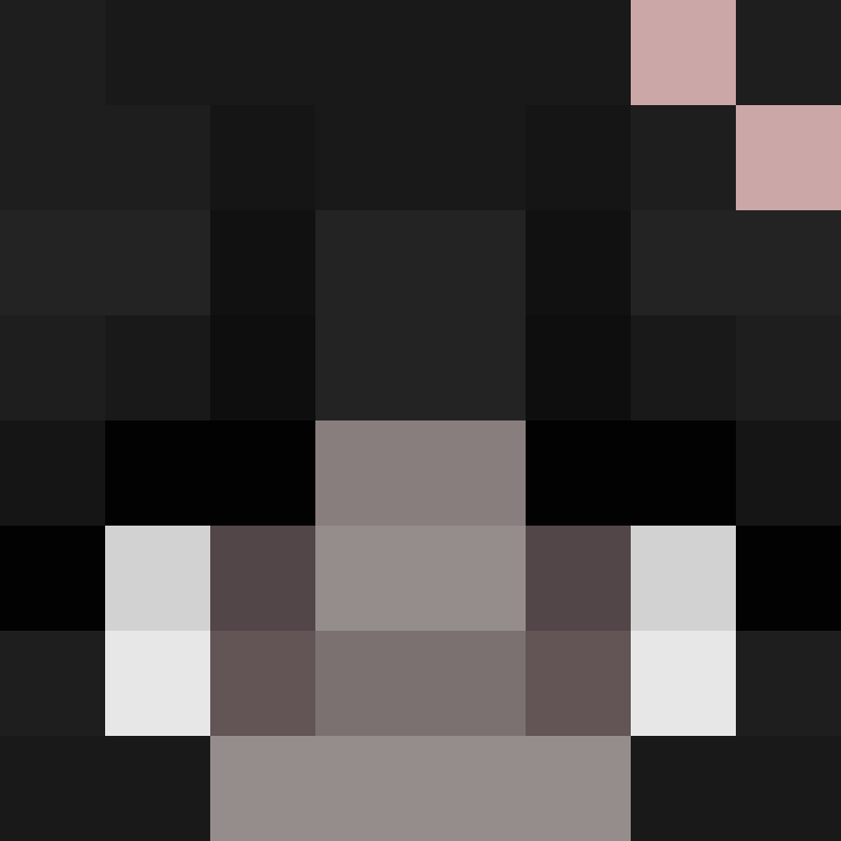 h4yl33's skin