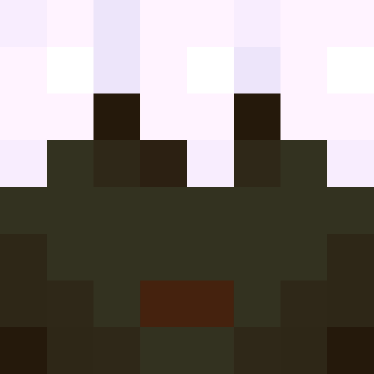xX_No_Income_Xx's skin