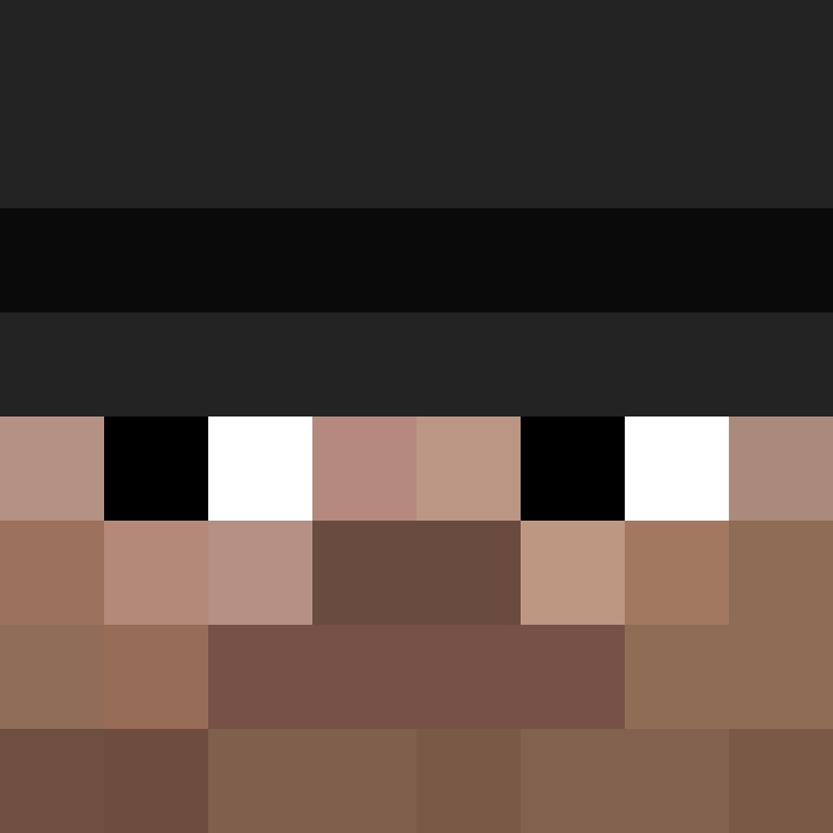 Invixit's skin