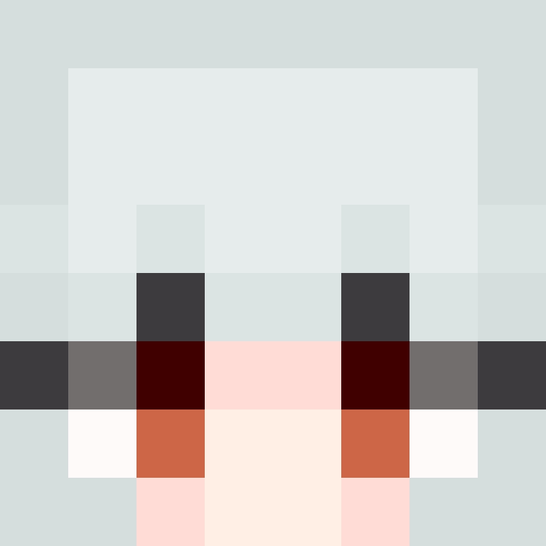 SkinEnthusiast's skin