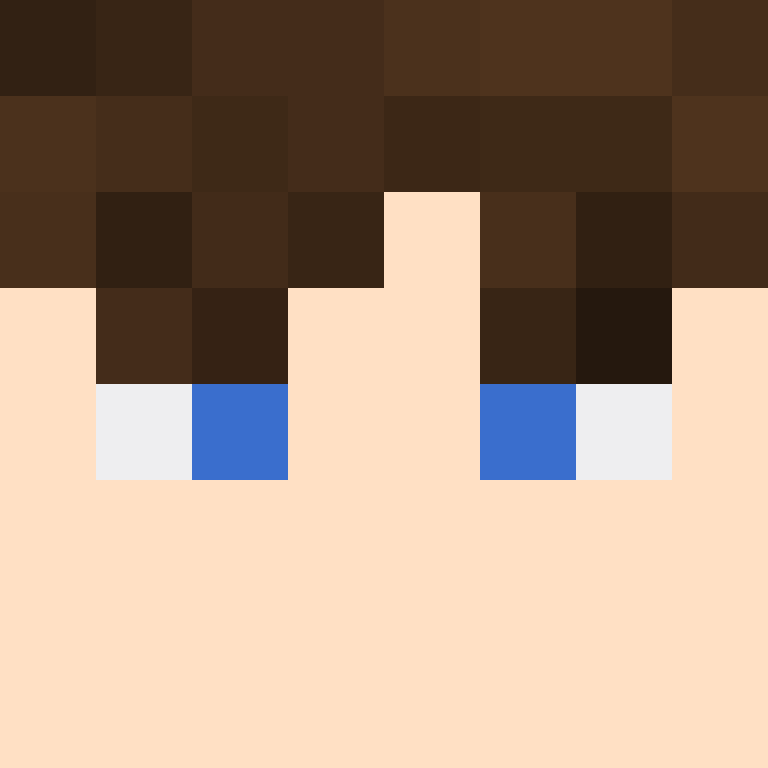 xX_No_Income_Xx's skin
