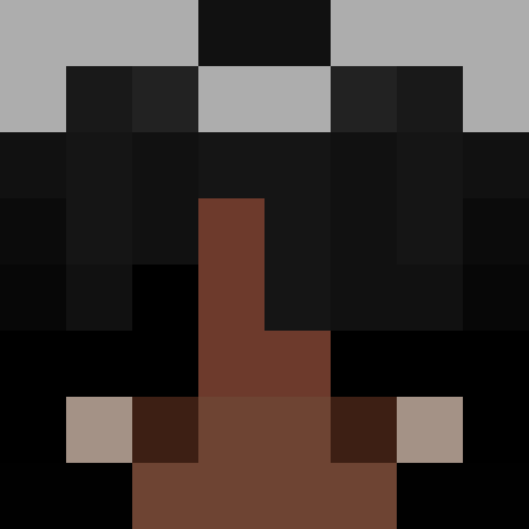 sar1ch's skin