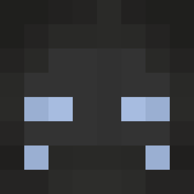 wiredframe's skin