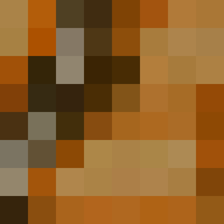 xentany's skin
