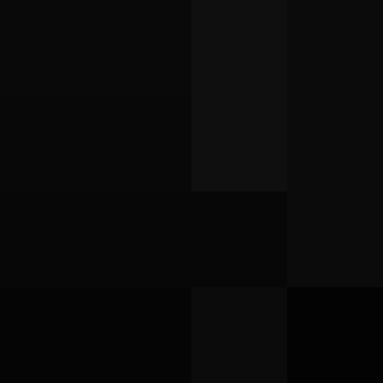 Zuarig's skin