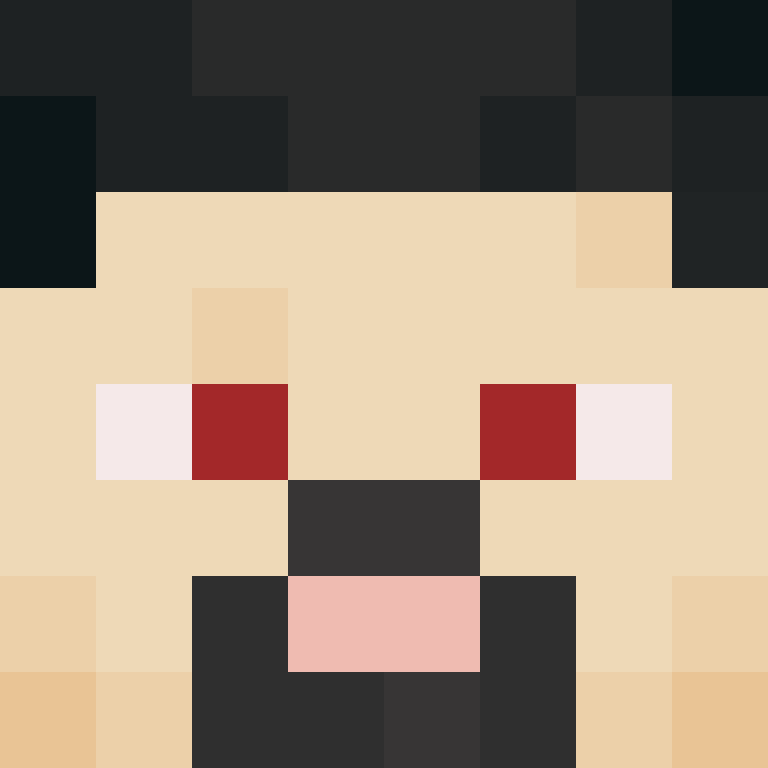 8aca680b22461340's skin