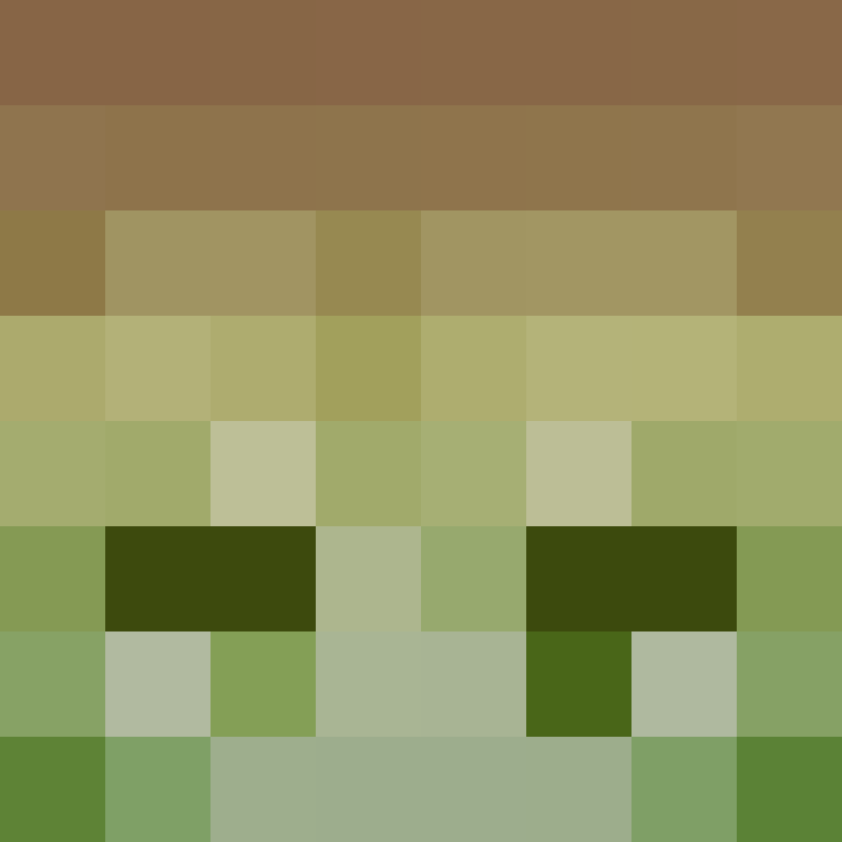 Yeleha's skin