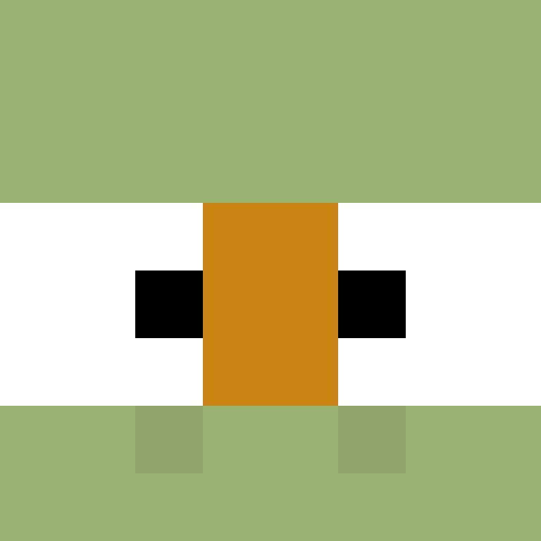 BocaJunior's skin