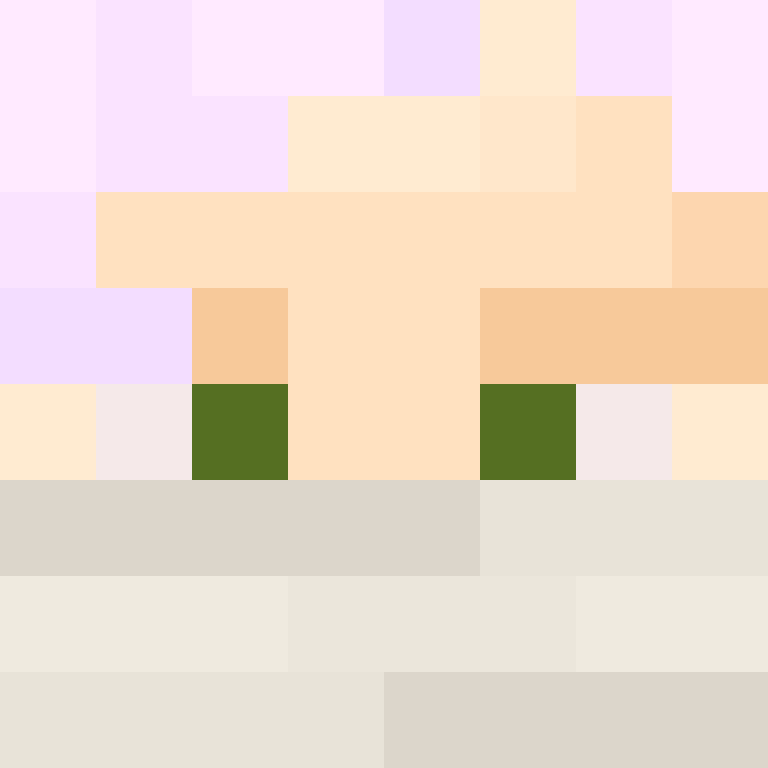 deminecrafterlol's skin
