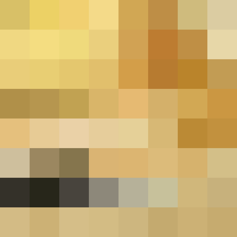 hpyef's skin