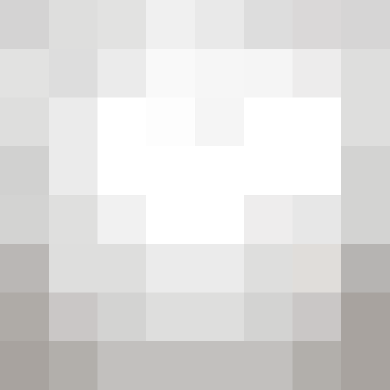 zervation's skin