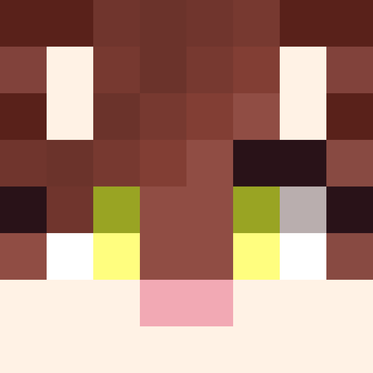 8aca680b22461340's skin