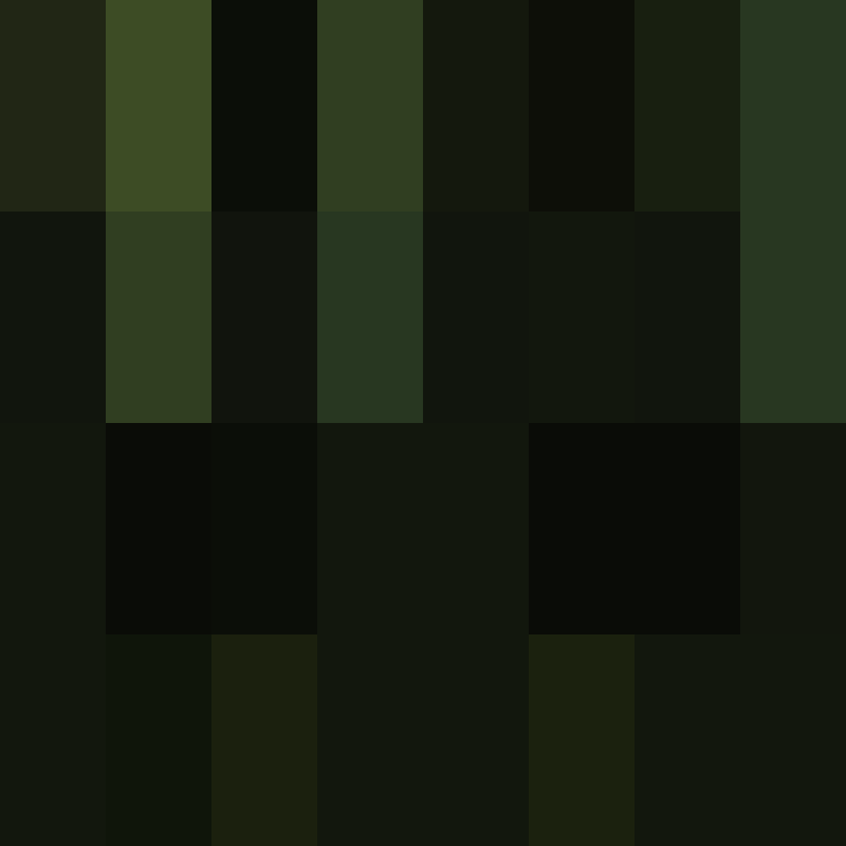 intersecato's skin