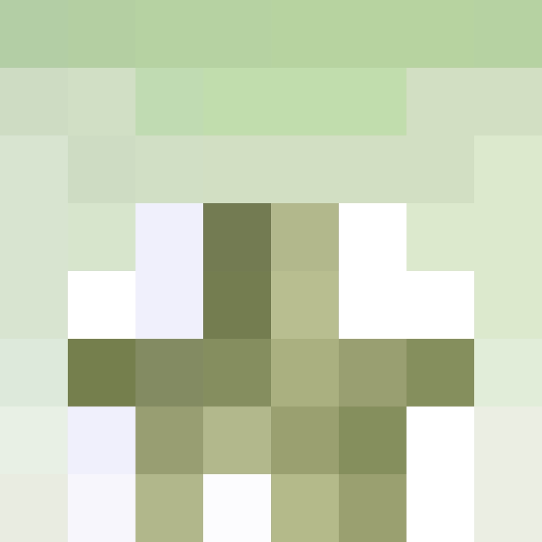acin5's skin