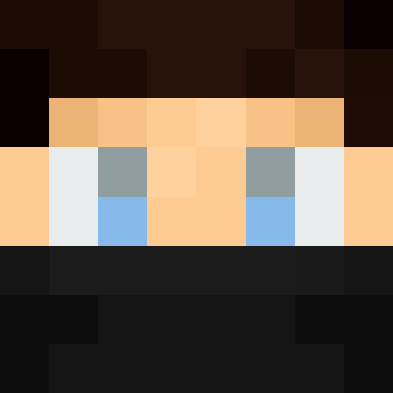 wiredframe's skin