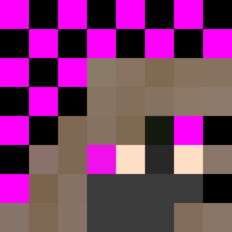 8aca680b22461340's skin
