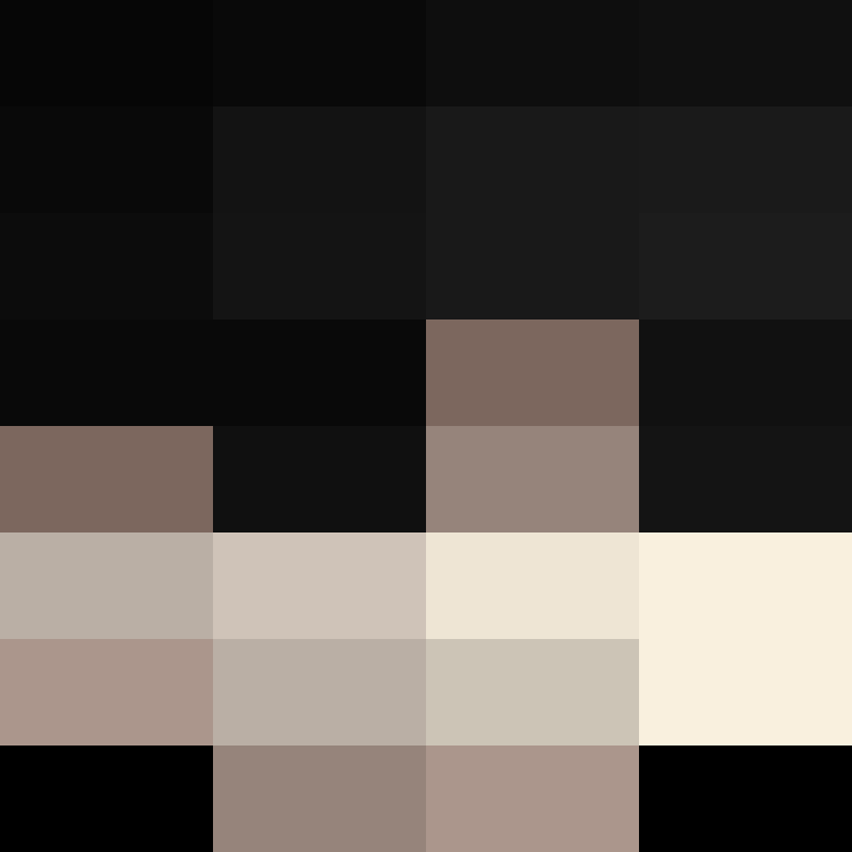 acin5's skin