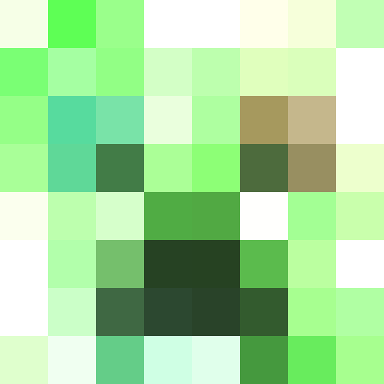 SkinEnthusiast's skin