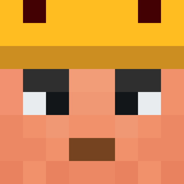 PatatjeMC's skin