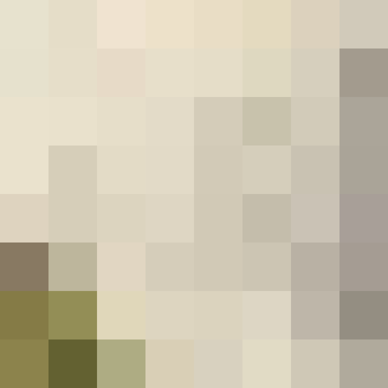 1etho's skin