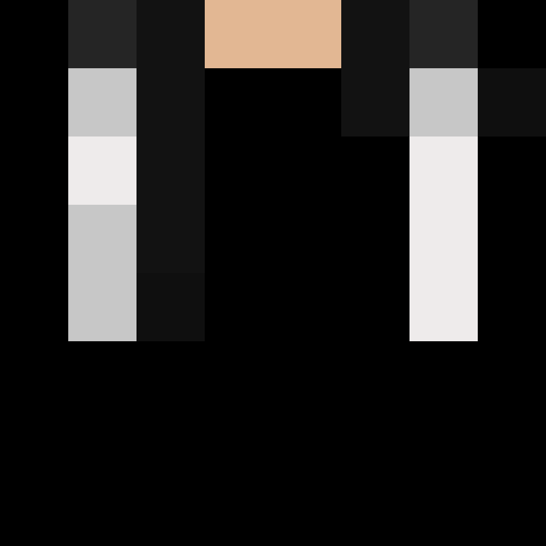 deminecrafterlol's skin