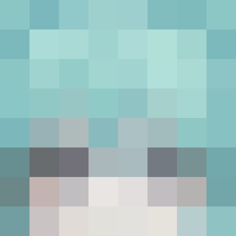 PtakopyskCZ's skin
