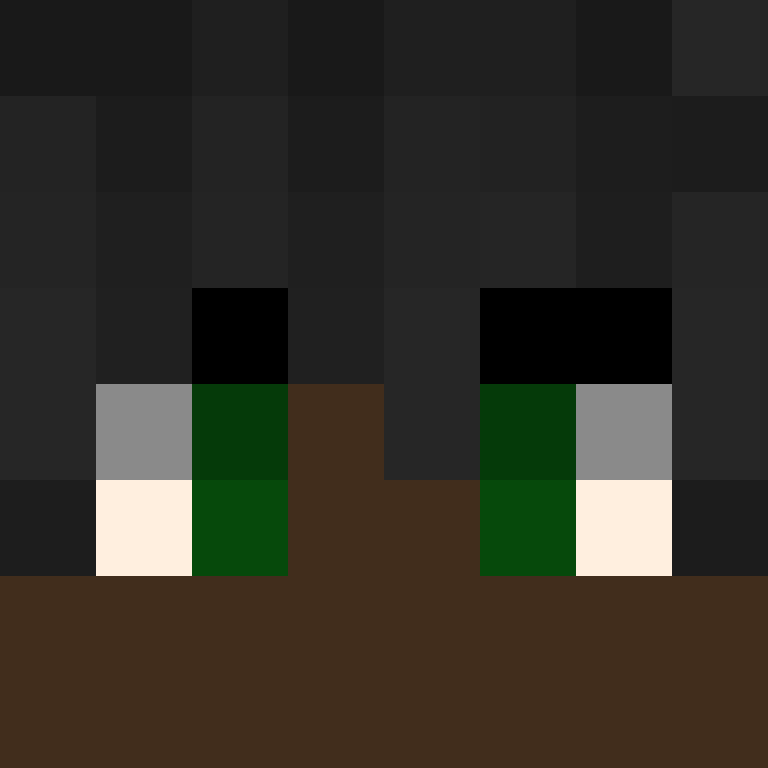 BukkitAPI's skin
