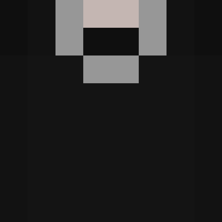 acin5's skin