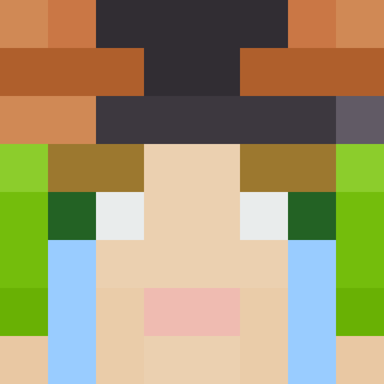 deminecrafterlol's skin