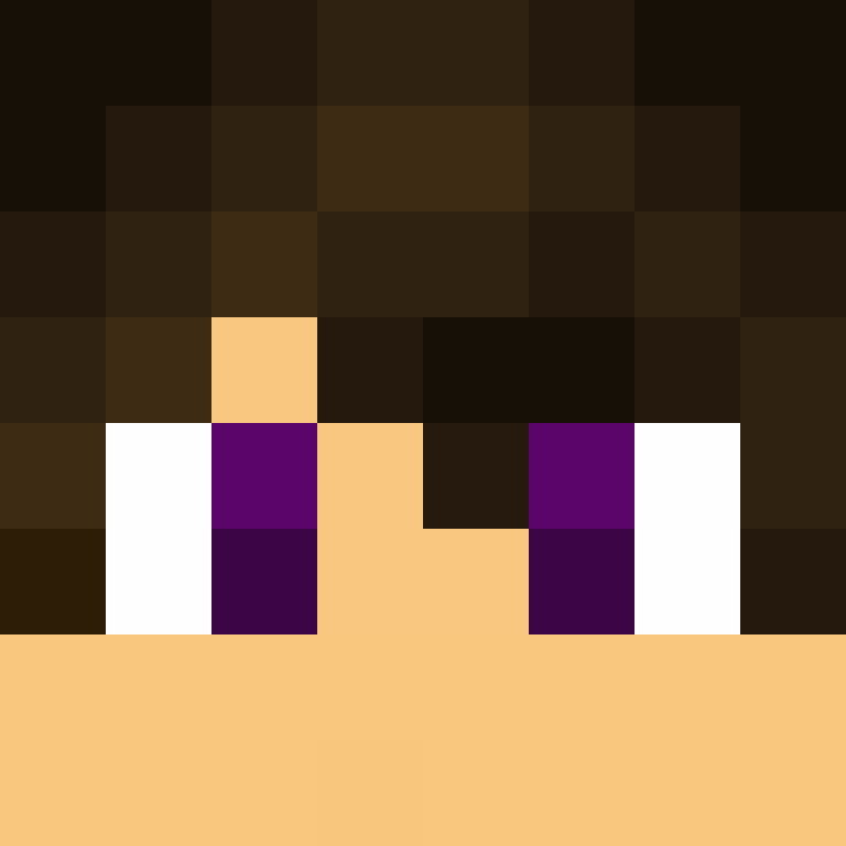 BukkitAPI's skin