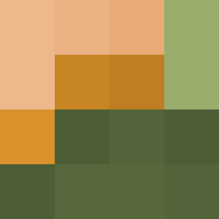 acin5's skin