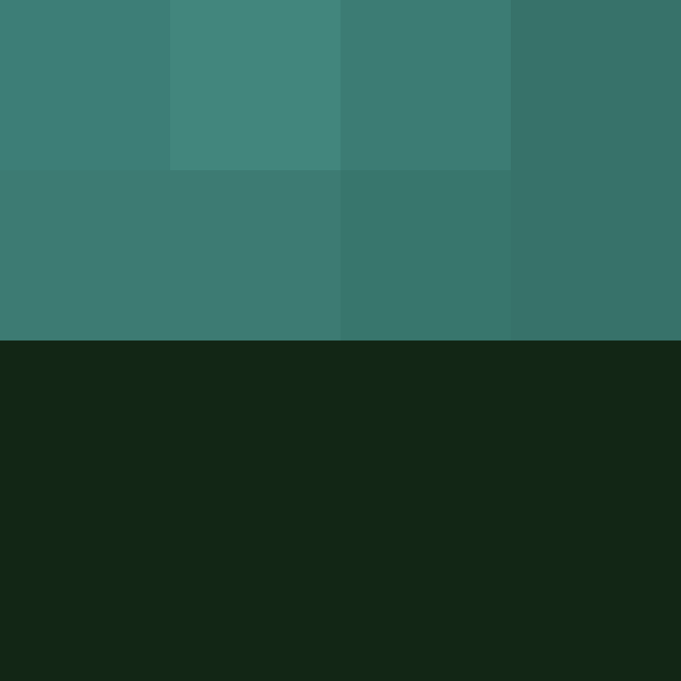 Shar_d's skin