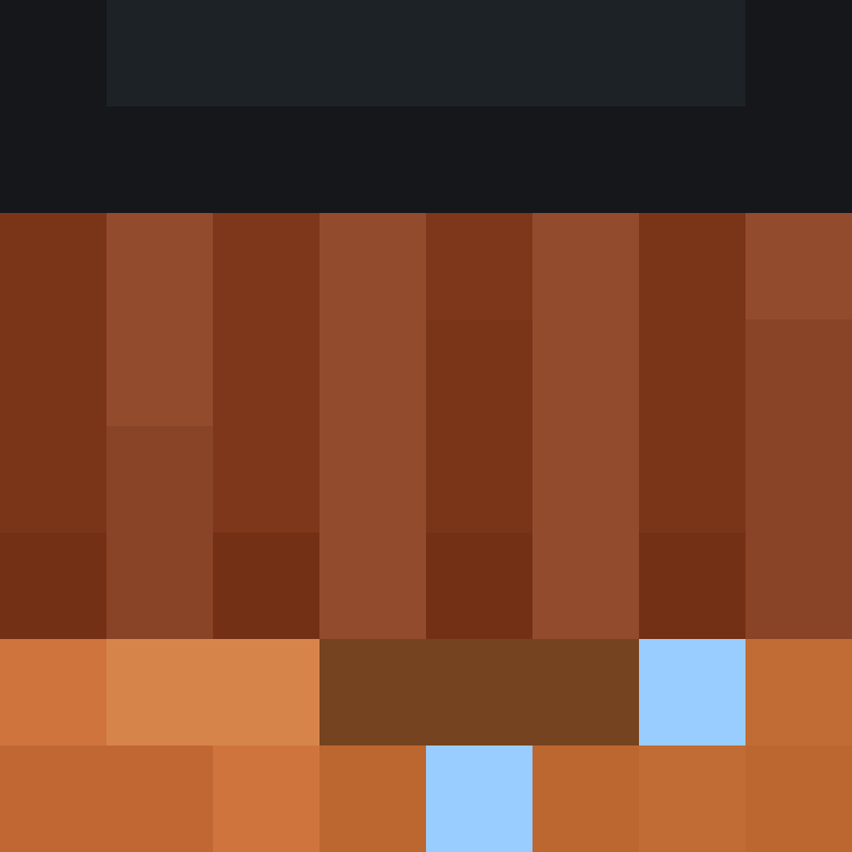 BradBot_2's skin
