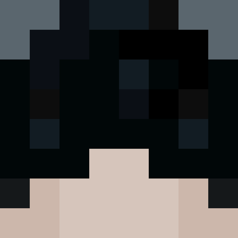 wiredframe's skin