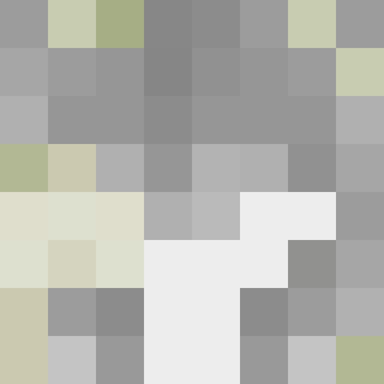 slayzer23433's skin