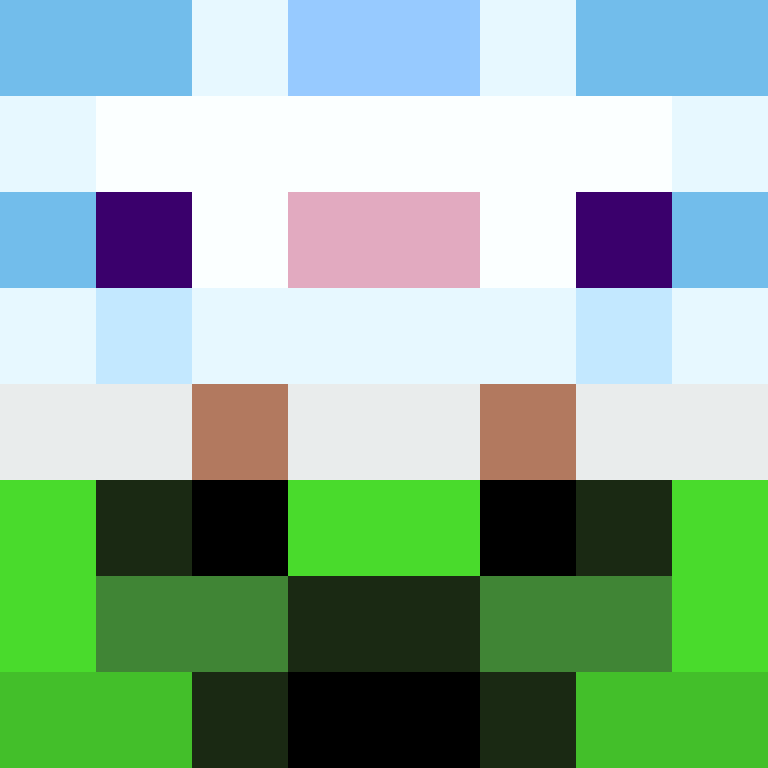 PtakopyskCZ's skin