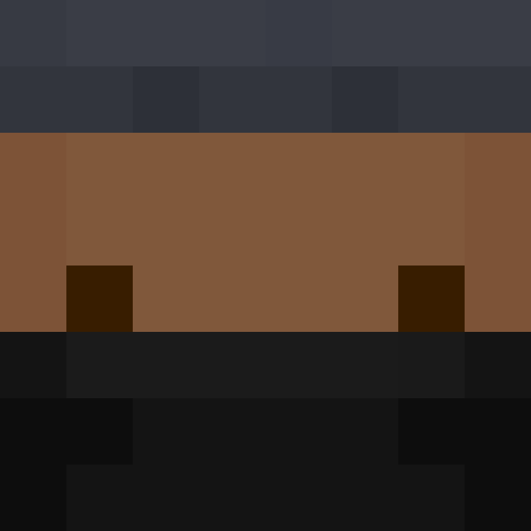 deminecrafterlol's skin