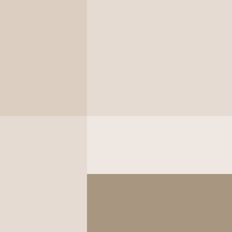 TheSilverDreams's skin
