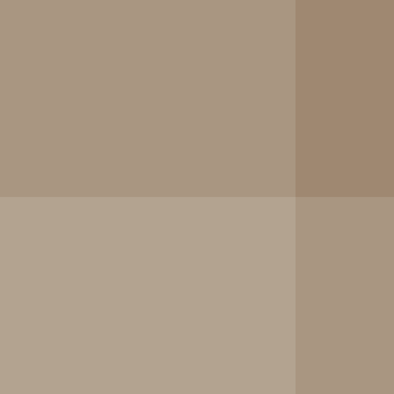 Piedrita17's skin