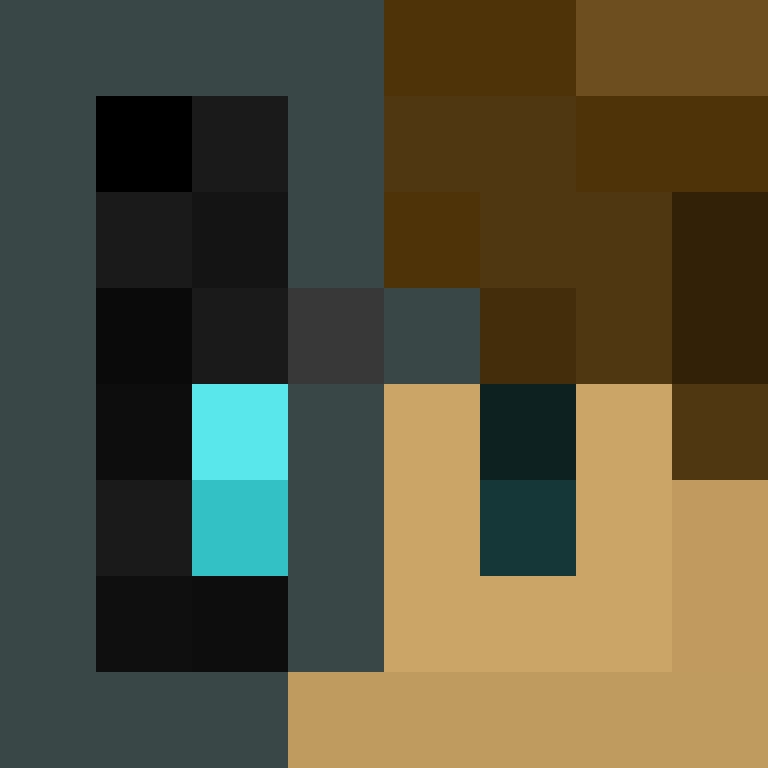 SkinEnthusiast's skin