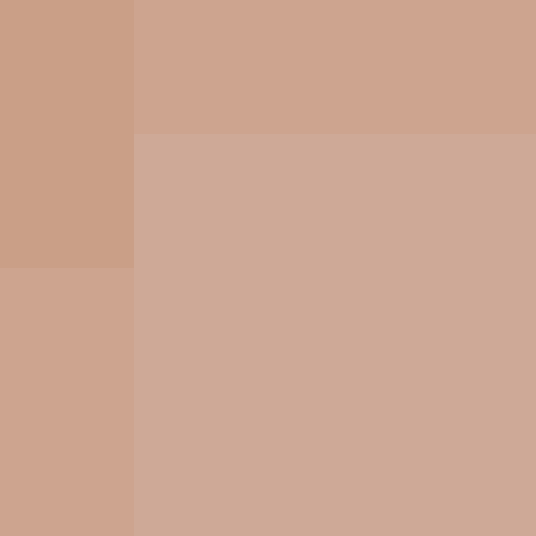GeyserMC's skin