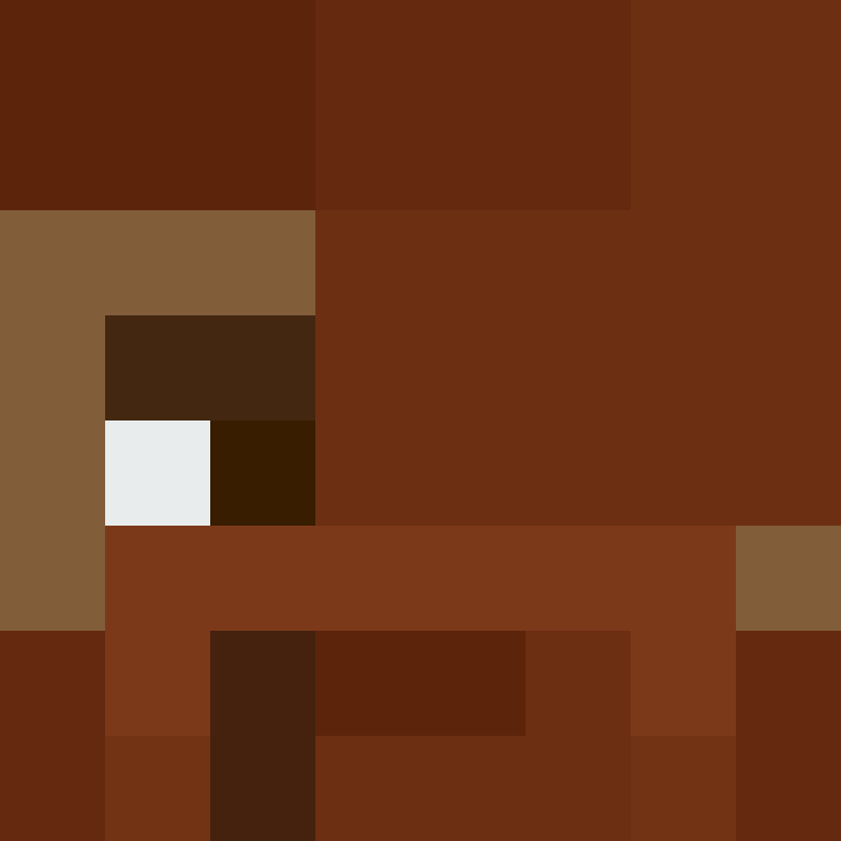 BukkitAPI's skin