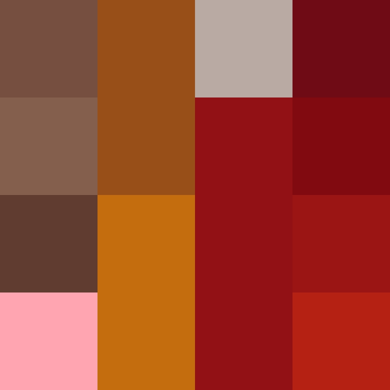 acin5's skin