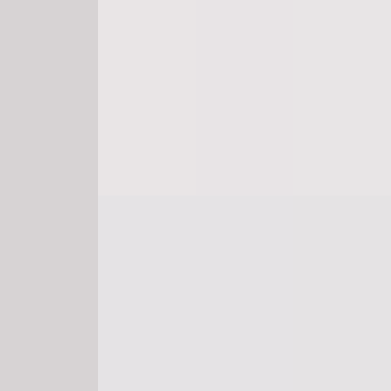 GeyserMC's skin