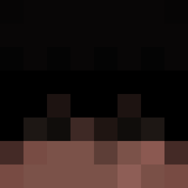 8aca680b22461340's skin