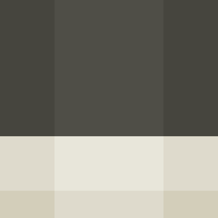 O_Rei's skin
