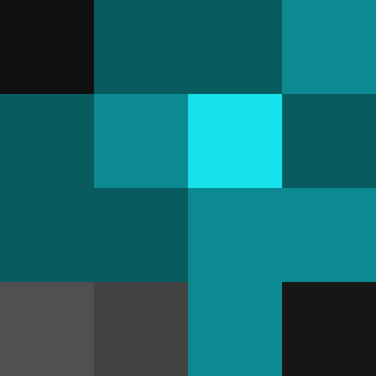 acin5's skin
